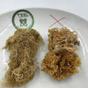 Sea Moss...Is it the real deal?