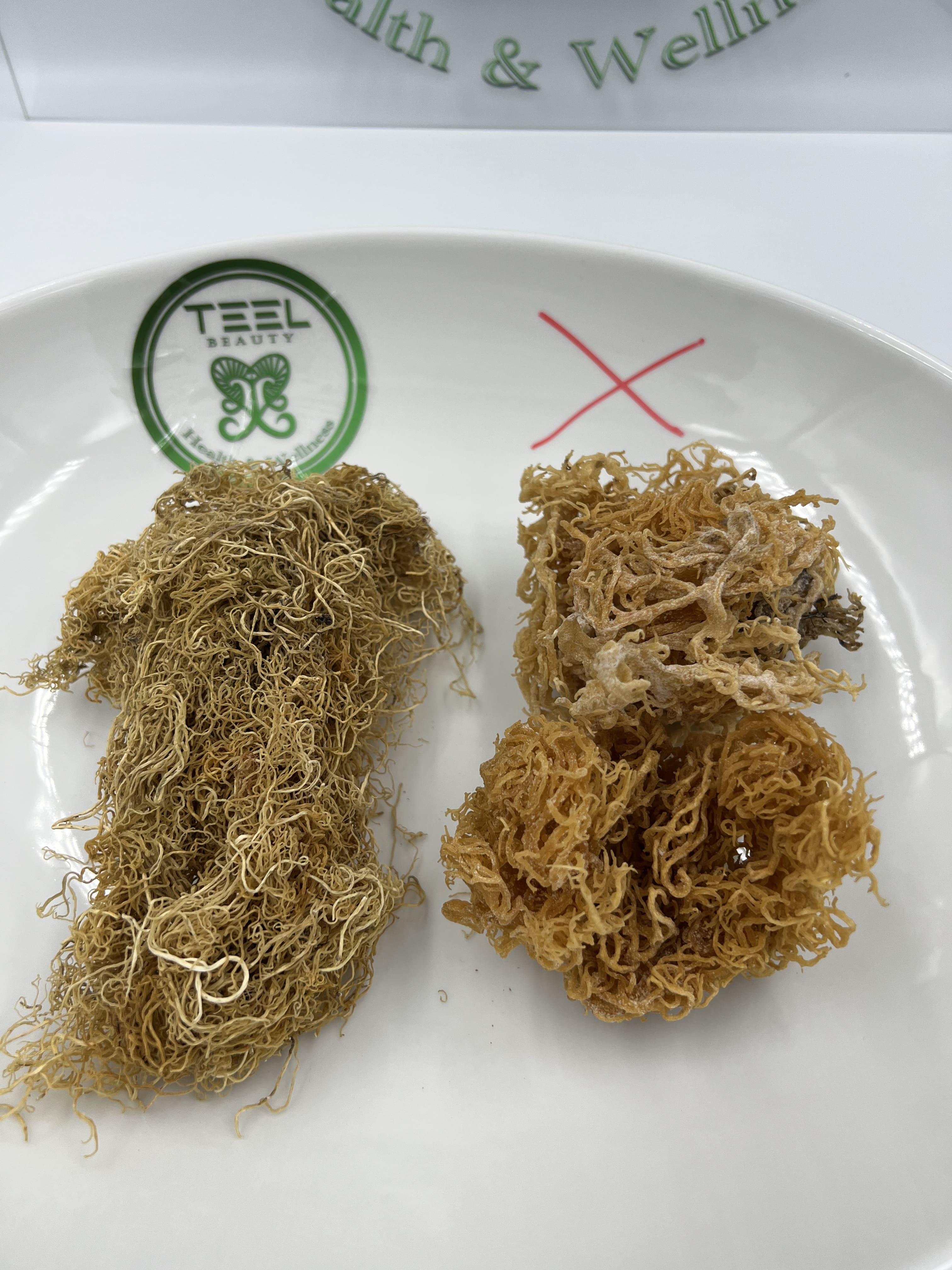 Sea MossIs it the real deal? – Teel Beauty Wellness